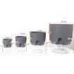 Double-Layer Auto-Absorb Flowerpot, A703 8.2cm - White Transparent Basin - 3
