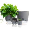 Double-Layer Auto-Absorb Flowerpot, A703 8.2cm - White Transparent Basin - 6