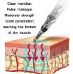 Automatic Meridian Pen with 5 Heads - Charging Model, Color Box - 3