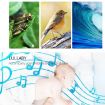 Baby Soothing Music White Noise Sleep Instrument with Cry Detection - 6