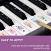 Children Piano Keyboard Stickers 5PCS - QT-005-A Accessories - 4
