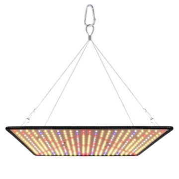 Quantum Board LED Grow Light, AU Plug, Sunlight Spectrum - 1
