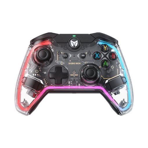 BIGBIGWON C1 S RGB Wired Gamepad Controller for PC/Switch - 1