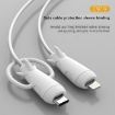 Light Blue IPhone USB Type-C Data Line Protector & Wire Winder - 6