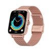 DT102 Gold Steel 1.9" HR/Blood O2 Bluetooth Call Watch with NFC - 1