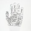 Acupuncture Point English Hand Massage Therapy Gloves, Avg Size - 5