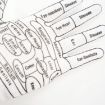 Acupuncture Point English Hand Massage Therapy Gloves, Avg Size - 6