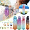 1000ml Fruity Water Bottle With Straw & 7 Flavor Rings (Clear Purple) - 4
