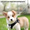 Pet Recorder Collar Camera for Cats & Dogs, 32G Memory, White - 3
