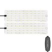 12V LED Panel Plant Growth Fill Light, Two Head (AU Plug) - 1