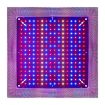 Quantum Board LED Growth Lamp, Full Spectrum + Reflective Cover - 2