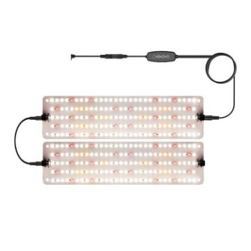Quantum Board LED Indoor Plant Lamp, Model: Two Heads (AU Plug) - 1