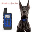 Dog Training Remote Control Waterproof Shock Collar, 500m (Black) - 4