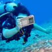 Diving Shell Gen2 IP68 Waterproof Phone Case - Grey Orange Upgrade - 9