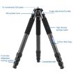 BEXIN RC294 Carbon Fiber Camera Tripod - Portable & Collapsible - 2