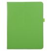 iPad Pro 13 2024 Green Litchi Texture Leather Tablet Case - 2