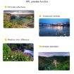 JSR Drone CPL Lens Filter for DJI MAVIC Mini - Enhance Aerial Shots - 5