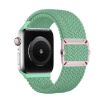 Apple Watch Band 46/49/45/44mm Double Loop Nylon Braid Pistachio Green - 1