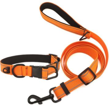Orange Pet Reflective Collar with Black Buckle & 1.8m Leash, Size L - 1