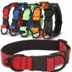Reflective Black Nylon Pet Leash 1.8m, Size M - Durable & Safe - 2