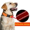 Reflective Black Nylon Pet Leash 1.8m, Size M - Durable & Safe - 5