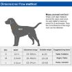 Reflective Red Nylon Pet Leash, 1.8m, Size M - 8