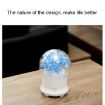 Gypsophila Flowers Aromatherapy Diffuser 100ML LED Humidifier Blue - 3