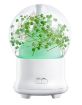 Gypsophila Flowers Aromatherapy Diffuser 100ML LED Humidifier Green - 2