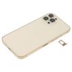 iPhone 12 Pro Max Gold Battery Back Cover with Keys & Charging Module - 2