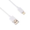 iPhone USB Charger 5V 2.1A with 1m 8 Pin Cable, EU Plug, White - 3