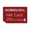 HOSINGLOBAL 256GB NM Card - 90MB/s Speed - 1
