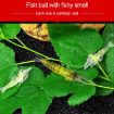 10 PCS 4cm Soft Shrimp Bait Lures with Hook - Natural Fishing Poppers - 8