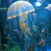 Orange Silicone Jellyfish Aquarium Decoration - 5x17cm Fluorescent Sucker - 1