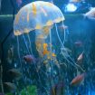 Orange Silicone Jellyfish Aquarium Decoration - 5x17cm Fluorescent Sucker - 2
