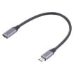 USB-C Male to Female Adapter Cable, 25cm Length, Type-C Connector - 2