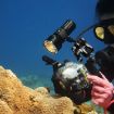 PULUZ Dual Aluminum Alloy Clamp for Underwater Arm System - Durable & Reliable - 6