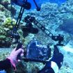 PULUZ Dual Aluminum Alloy Clamp for Underwater Arm System - Durable & Reliable - 8