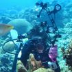 PULUZ 6.1" Carbon Fiber Floating Arm, Dual Balls, 400g Buoyancy - 7