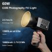 PULUZ 60W Studio Video Light, 2500K-6500K Dual Color Temp, Black - 2