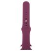 Violet Rubber Watch Band for Apple Watch Ultra/Series 9-1, 3 Sizes - 5