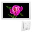 XCLT1850 18.5" LED Display Digital Photo Frame, US Plug, White - 1