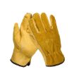 Motorcycle & Garden Safety Gloves - 2 Pairs, Size M Riding Gloves - 2