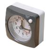 Gray Bedside Mute Alarm Clock with Light & Snooze Function - 2