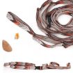 Camping Tent Storage Lanyard - Lengthened Clothesline (Brown) - 1