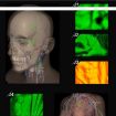 Vascular Vein Display Inspection Camera P2-1 - Medical Imaging Device - 5