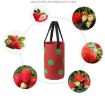 Hanging Strawberry Plant Bag, 13 Holes, 20x35cm, Red, Multi-Mouth - 7