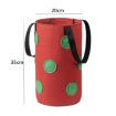 Hanging Strawberry Plant Bag, 13 Holes, 20x35cm, Green - 3