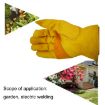 JJ-1004 Yellow Leather Welding Safety Gloves, Size M - Outdoor Garden Use - 6