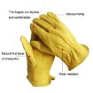 JJ-5002 Genuine Leather Safety Gloves, Outdoor Riding/Gardening, Size S - 4