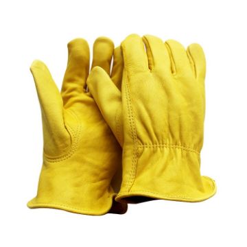 XL Genuine Leather Safety Gloves - JJ-5002 for Outdoor Riding & Gardening - 1